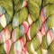 KnitPro Symfonie Premium Hand-Dyed Merino Wool & Polyamide Sock Yarns|Terra Variegated Colors